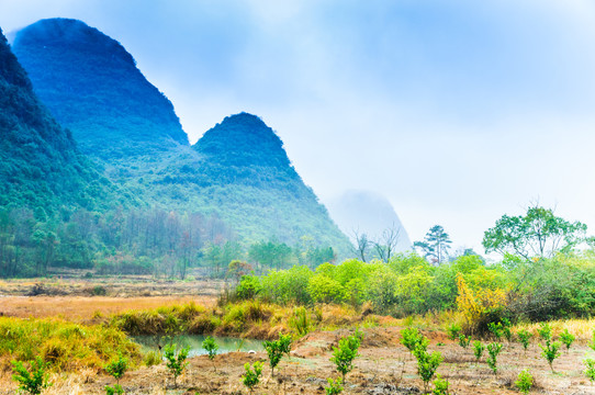 雾色山景