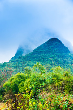 雾色山景