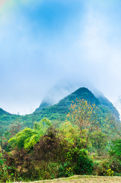 雾色山景