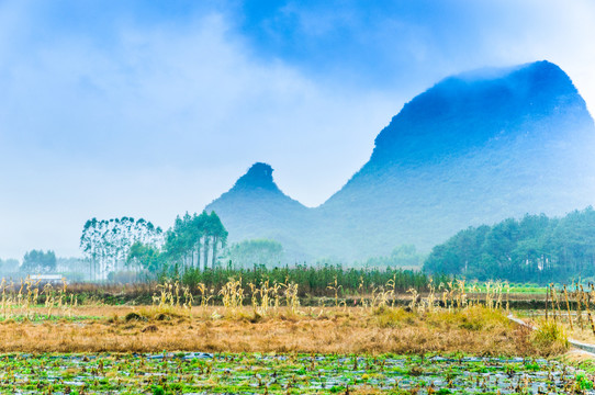 雾色山景