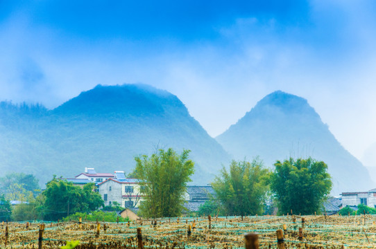 雾色山景