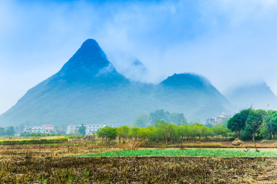 雾色山景