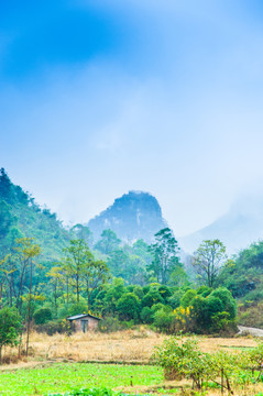 山景风光