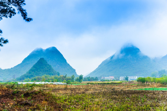 山景风光