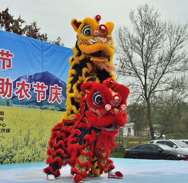 舞狮表演