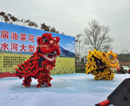 舞狮表演