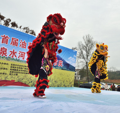 舞狮表演