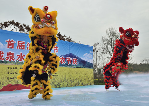 舞狮表演