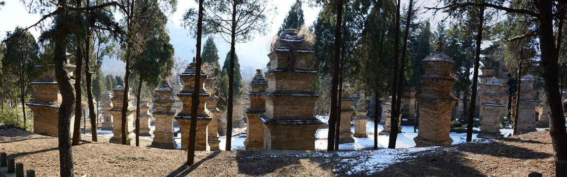 少林寺塔林全景