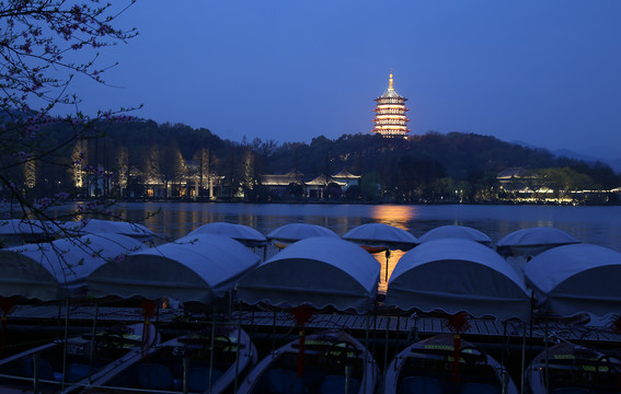 夜色雷峰塔