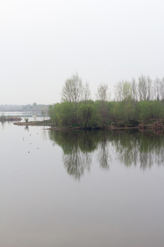 西安梁家滩湿地公园春景