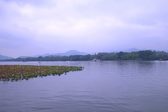 美丽的西湖风光