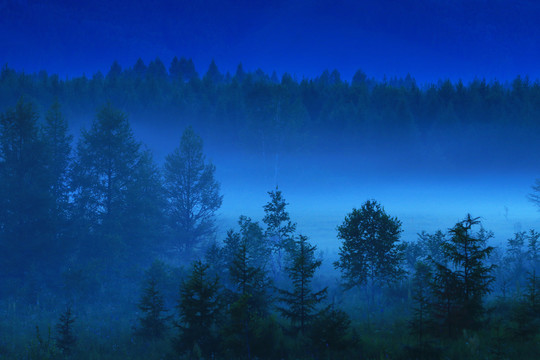 山林夜雾迷漫