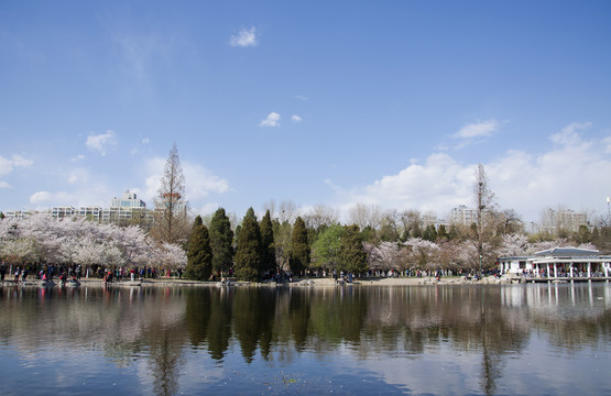 北京都市风光