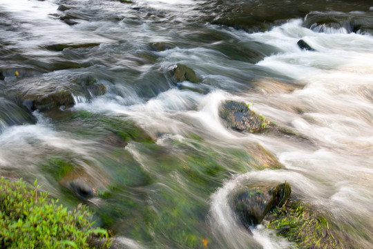 观澜河流水