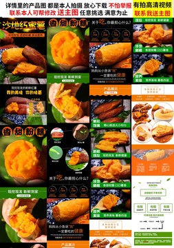蜜薯詳情