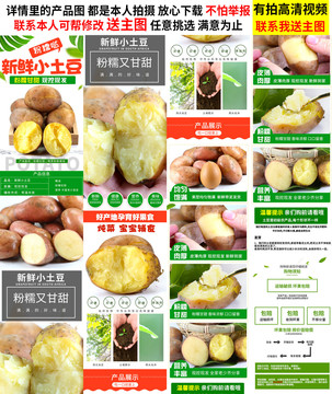 土豆詳情