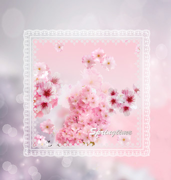 花卉