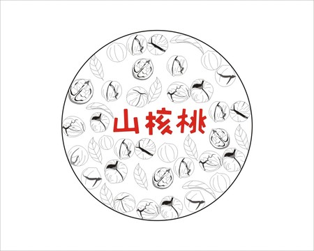 山核桃