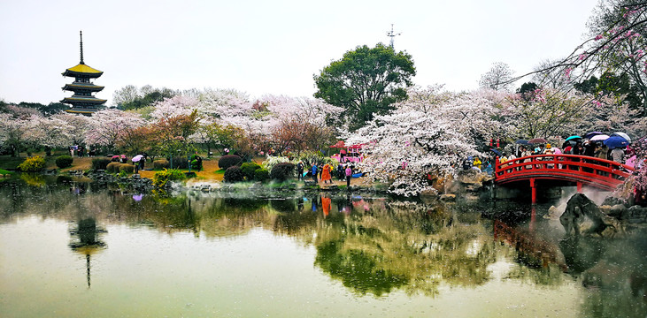 东湖樱园