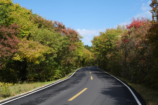 道路