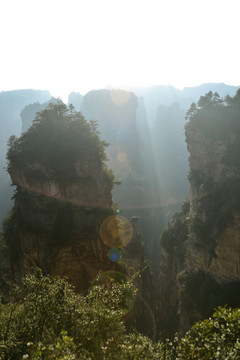 张家界阿凡达悬浮山原型