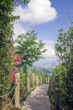 登山石阶