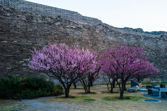 北京明城墙遗址公园