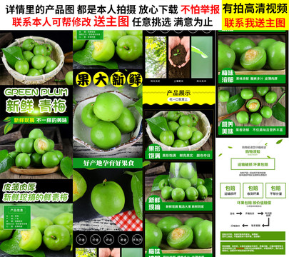 青梅詳情