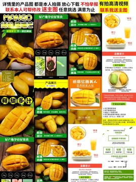 鷹嘴芒詳情