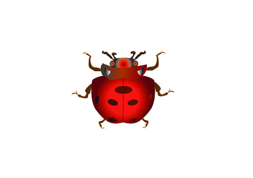 甲殼蟲(chóng)