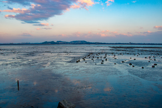 泉州湾滩涂