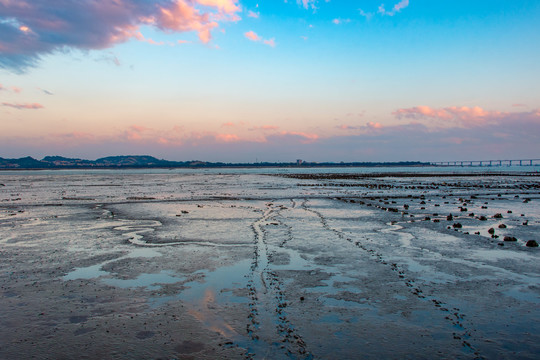 泉州湾滩涂