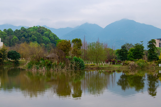 春天湖水景观