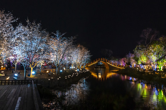 拈花湾云树帆影夜樱