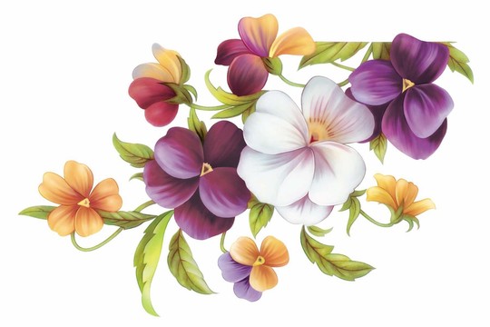 紫色花