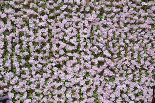 植物花墙