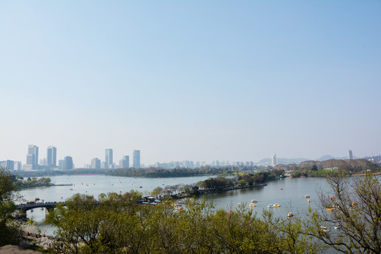 玄武湖美景