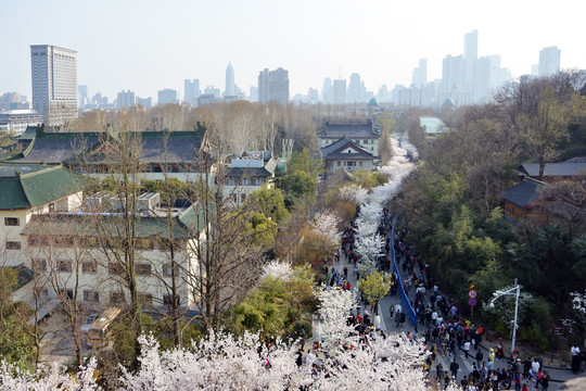 春天城市