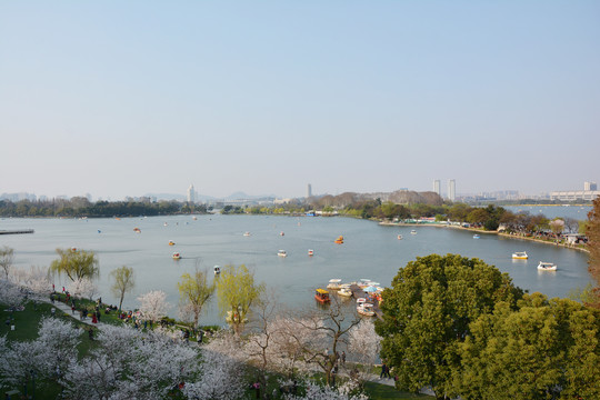 玄武湖美景