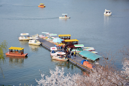 湖泊乘游船