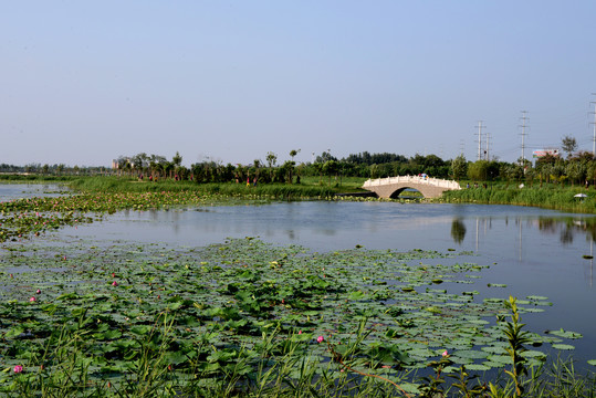 衡水湖