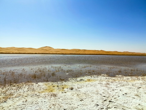 沙漠湖泊