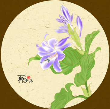 工筆畫玉簪花