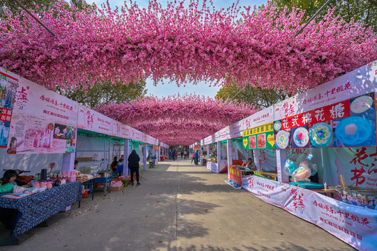 桃花节通道