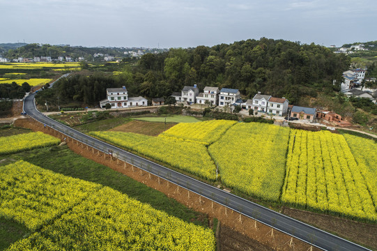 美丽的乡村公路