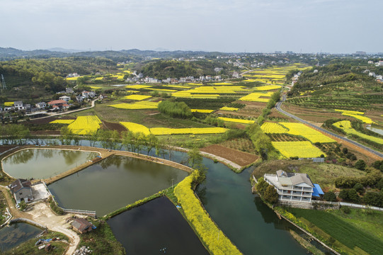 美丽乡村航拍