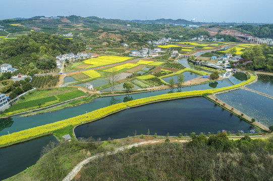 美丽乡村航拍