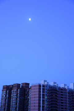 城市月光