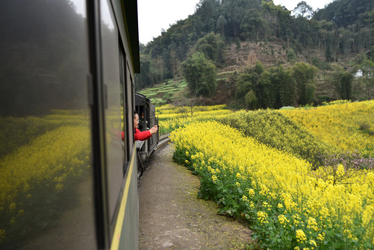 嘉陽小火車旅游攝影
